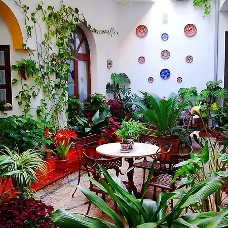 San Miguel Отель