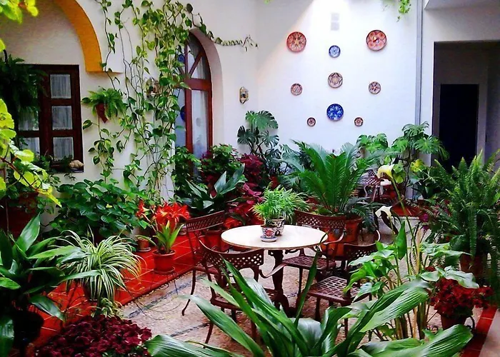 San Miguel Отель